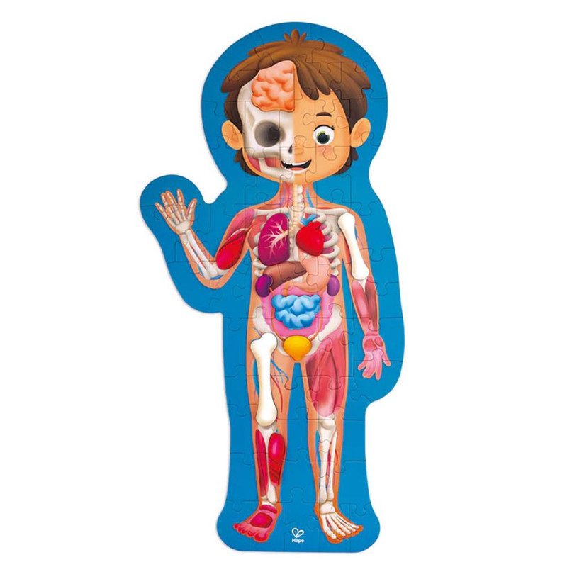 anatomie le corps humain geant 54 pces